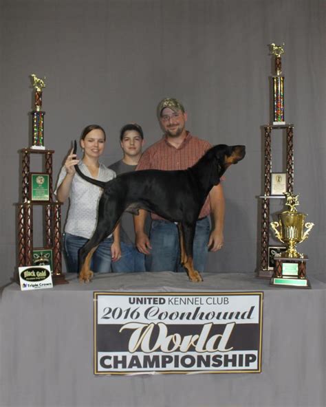 Coonhound World Championship Historical Winners List | United Kennel ...