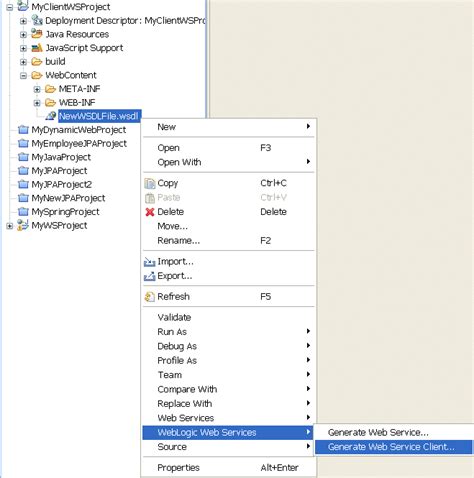 Image result for Example of Web Client