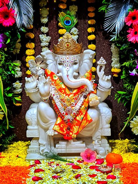 Image result for HTML Embed Code for Quotes Card