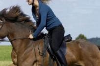 初学者怎么骑马 如何学会基本骑乘-百度经验