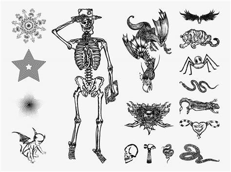 Image result for Vector Drawing