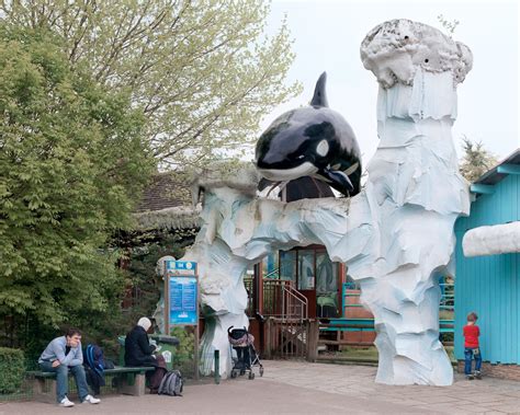 Water World We Live In