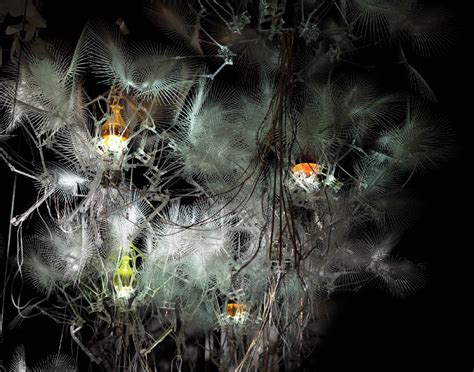 Philip Beesley: Engineering Liminal Geotextiles | Dazed