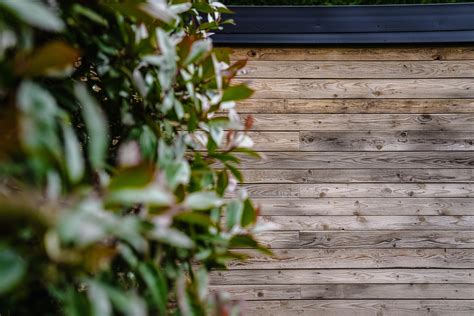 Image result for Wood Effect External Cladding