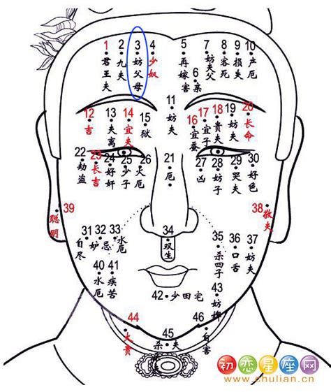 生個女兒叫「雪梨」！旅行迷父母起名愛用這些目的地 - 每日頭條