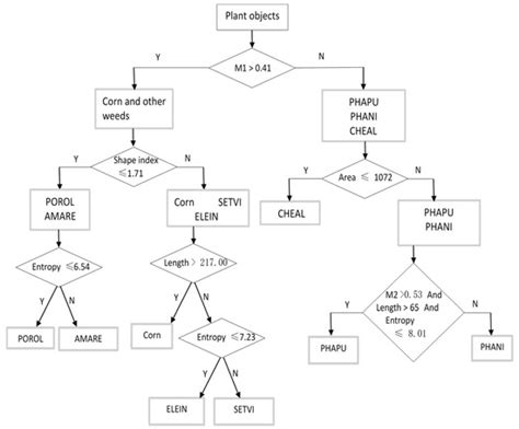 Detection of Corn and Weed Species by the Combination of Spectral ...