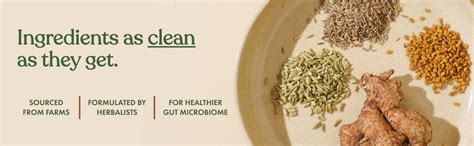 Cosmix No Nonsense Plant Protein | Organic Pea & Brown Rice Isolate ...