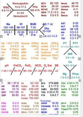 NCLEX Review Lab Values 的图像结果