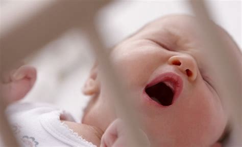 Best Baby Food Maker and Blender Online | Philips Avent