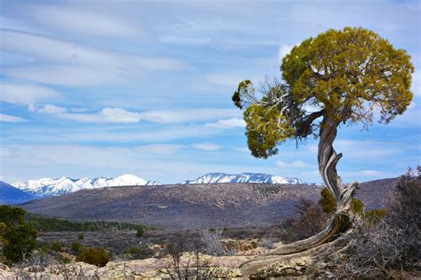 Black Canyon Trail, Gunnison National Park, USA