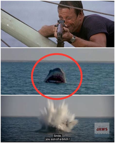 Jaws 3 Exploding Shark 的图像结果