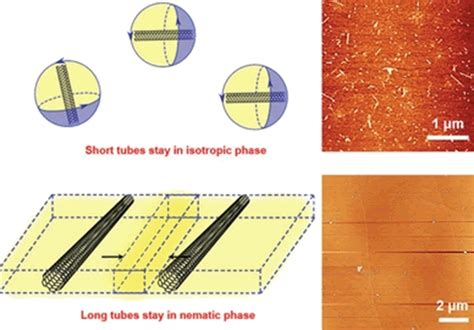 Single‐Walled Carbon Nanotubes – CENT – Center for Enhanced Nanofluidic Transport