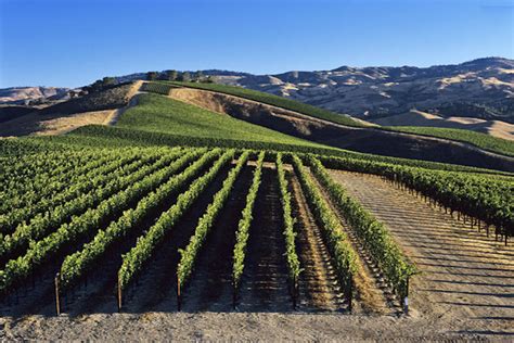 Santa Ynez Wine Trail - Santa Barbara County Vintners