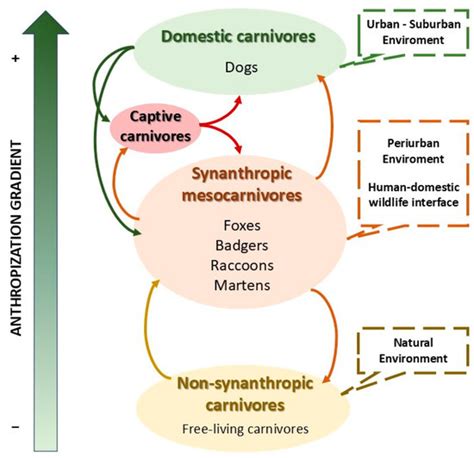 Tracking the Spatial and Functional Dispersion of Vaccine-Related ...