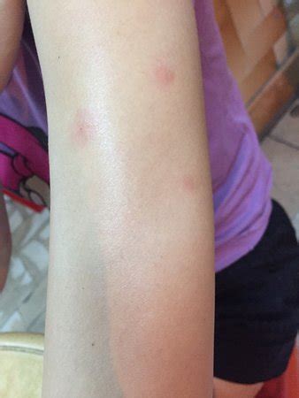 101 LAKE VIEW HOTEL (Puchong) - Hotel Reviews & Photos - Tripadvisor