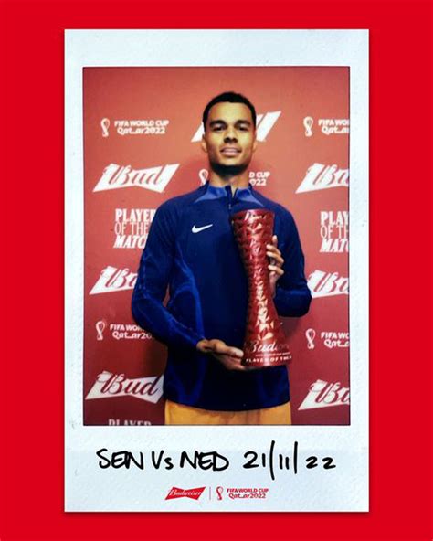 fifa world cup 2022 Qatar - fixture-result-live score-table ...