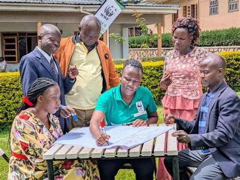 Image result for WWF Program 114