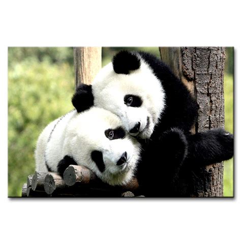 Pintura 'Pandas Design' Canvas Painting (Wood, 45.72 cm x 2.54 cm x 30. ...