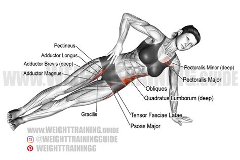 Side Plank Exercise Muscles Worked How To Beneficially Program A Side