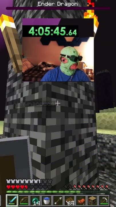 Image result for Cheappickle Frog Minecraft