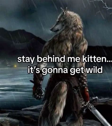 24 Wolf memes ☆ ideas | alpha werewolf, memes, alpha wolf