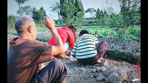 四川农村，媳妇和公公婆婆去地里插小葱，一家人上演一出搞笑剧 - YouTube