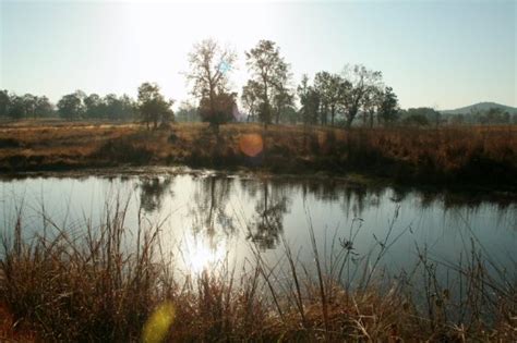 Tiger Country - Reviews, Photos - Kanha National Park - Tripadvisor