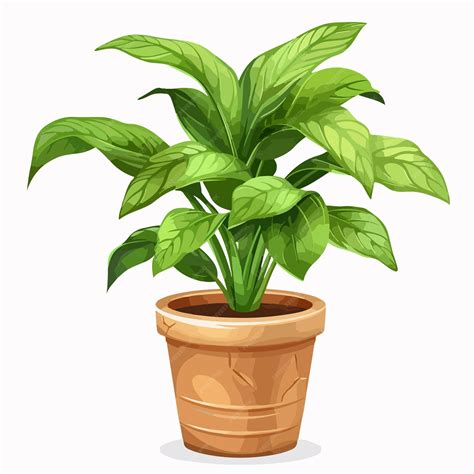 Plant in Pot Clipart Isolated on White Background | Premium AI ...