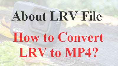 Image result for Convert LRV to MP4
