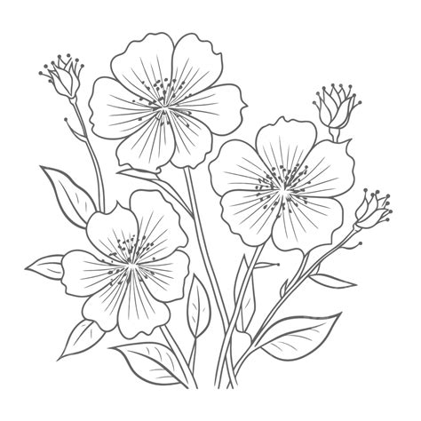 Flower Outline Drawing Png at Albina Giese blog