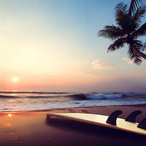 Download wallpaper sea, sunset, Palma, Nature, section nature in ...