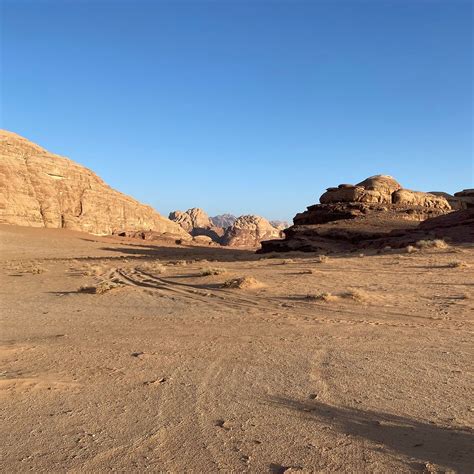 DESERT TREE CAMP - Reviews, Photos, Rate Comparison