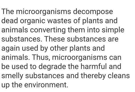 'Microbes help in cleaning the environment and maintaining nitrogen ...