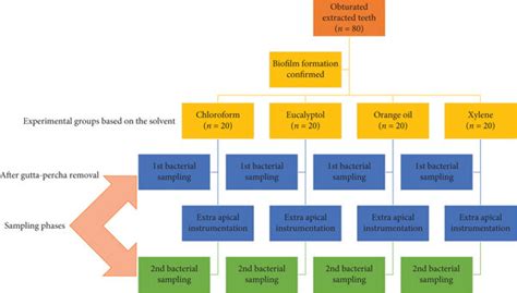 Image result for Flow Chart of Experimental Testing Process
