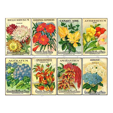 Flower Seeds Packet