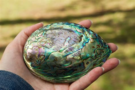 Is Mother Of Pearl Durable at Tamara Juarez blog