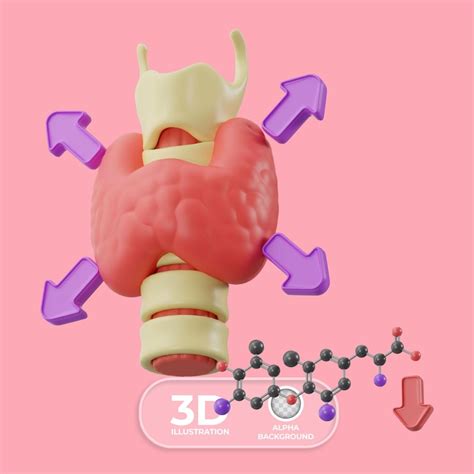 Images de Systeme Endocrinien Humain – Téléchargement gratuit sur Freepik