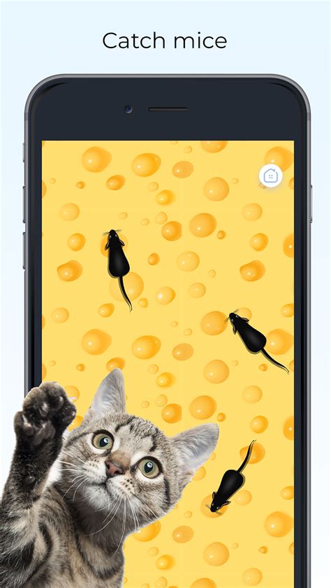 Download and Run Meow - Cat Toy Games for Cats on PC for Free