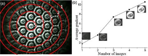 Image result for Average Gradient