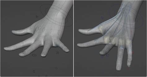 Image result for Blender Hand Tutorial