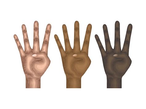 Gest język ręka wektor ciało ramię znak palec część model anatomia ...