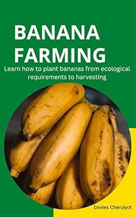 BANANA FARMING: Learn how to plant bananas from ecological requirements ...