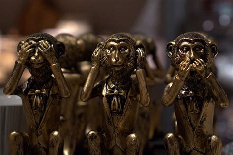 Image De Morality 的图像结果