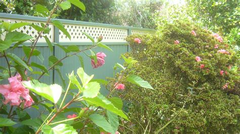 Colorbond Fence Extensions 的图像结果