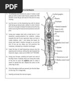 Toad Dissection Tutorial 的图像结果