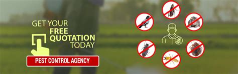 Pest Control Agency - Rex Protect Your Assets