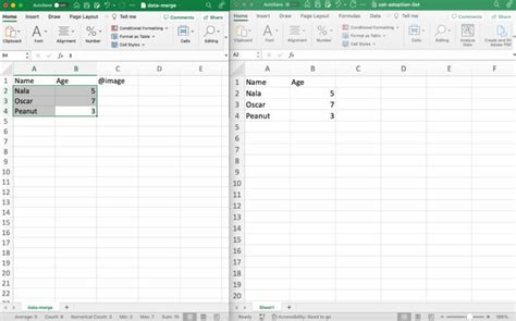 Image result for InDesign Data Merge Text File Sample