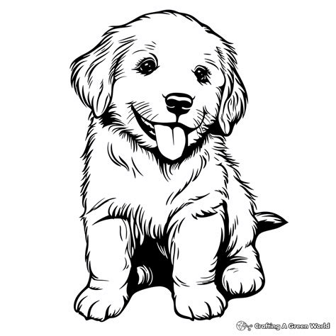 Golden Retriever Puppy Coloring Pages [2025]
