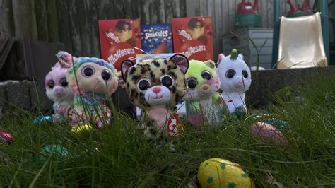 Image result for Bbbbbbbbbbb