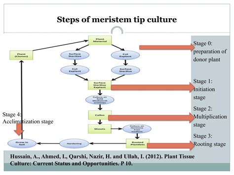 Image result for Tip Culture Methode Modification